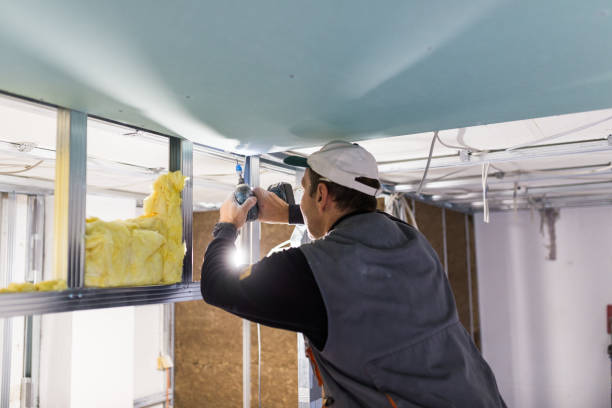 Best Insulation Maintenance and Repair in Fobes Hill, WA