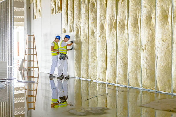 Best Eco-Friendly Insulation in Fobes Hill, WA